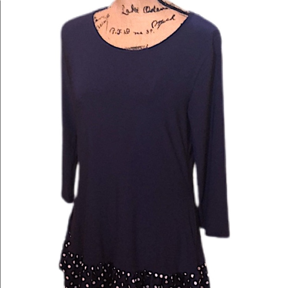NWT Long Sleeved Blue Tunic Top